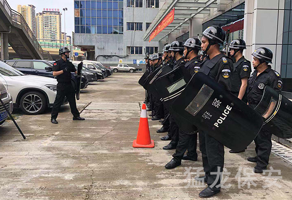 廣西伊人网在线免费视频公司