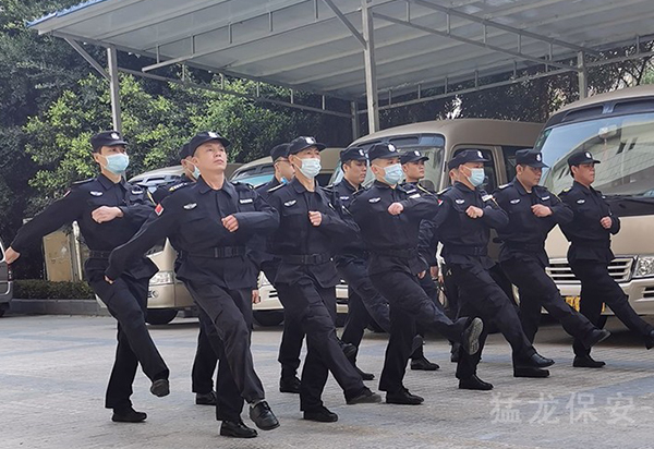 伊人网在线免费视频人員